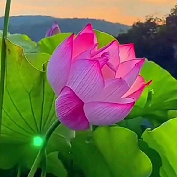 潇潇洒洒活好每一天玩就得了