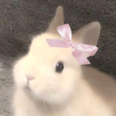 贰月25日.