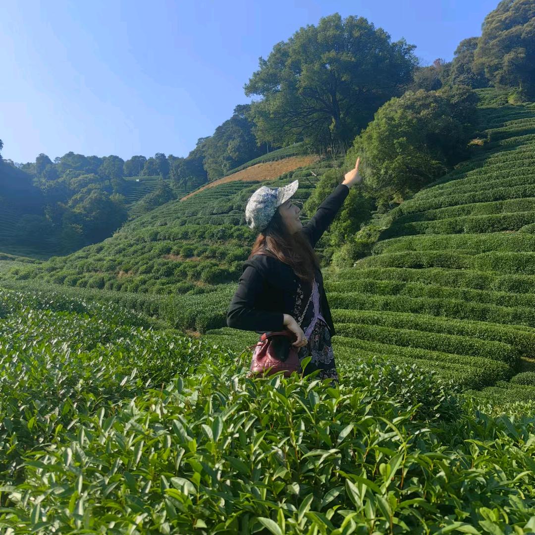 @放下，执念，@
