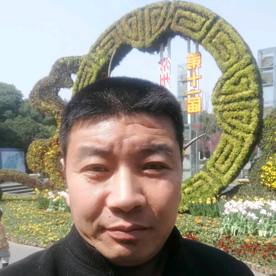 虎踞杏林