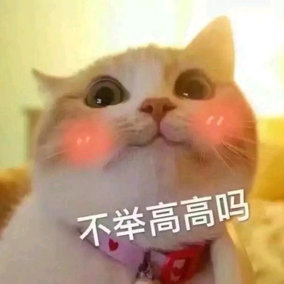 靓仔阿杰