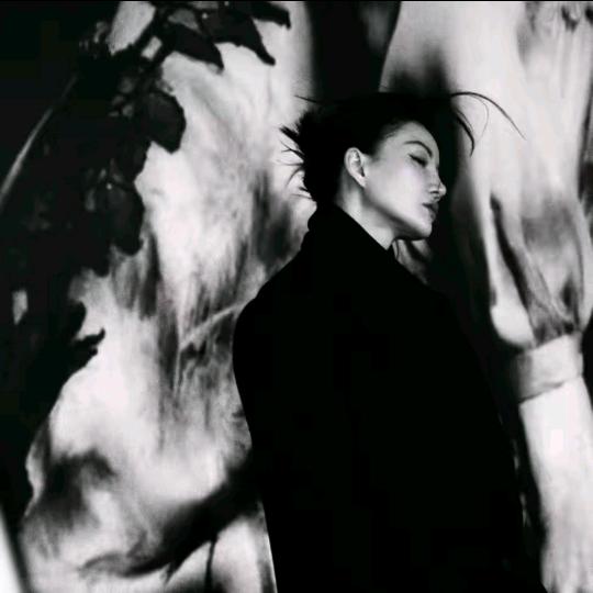 洛哥（直播优品）