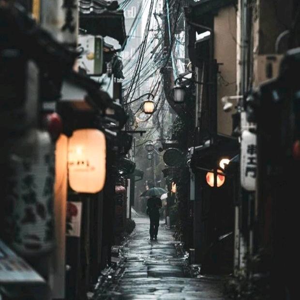 浪漫的爱情💑