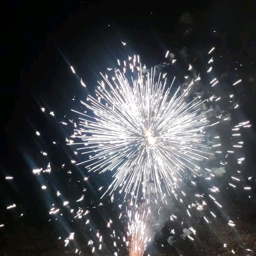 小麦情感故事
