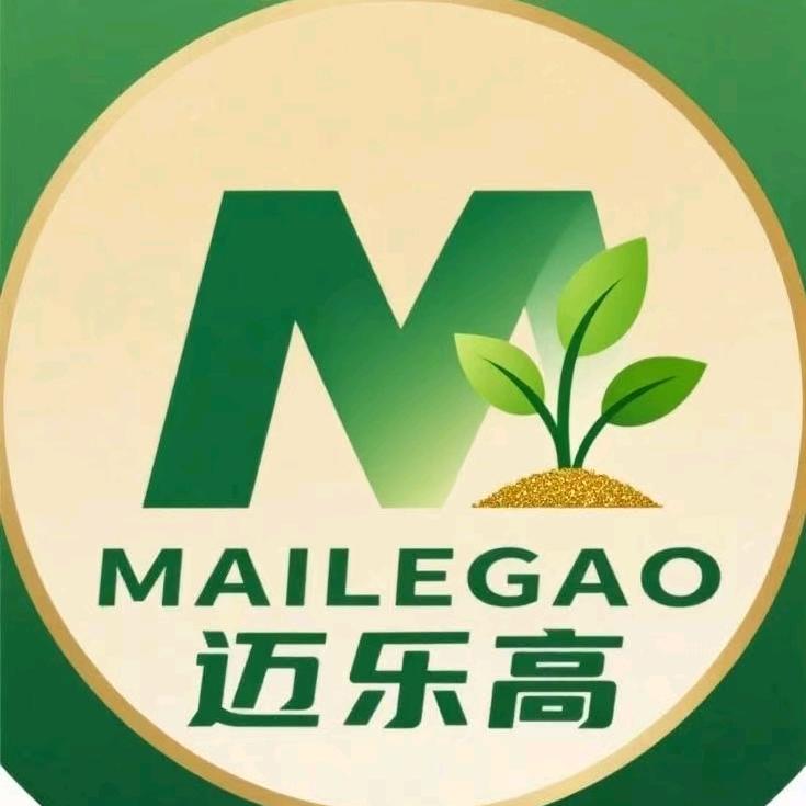 圣城春风