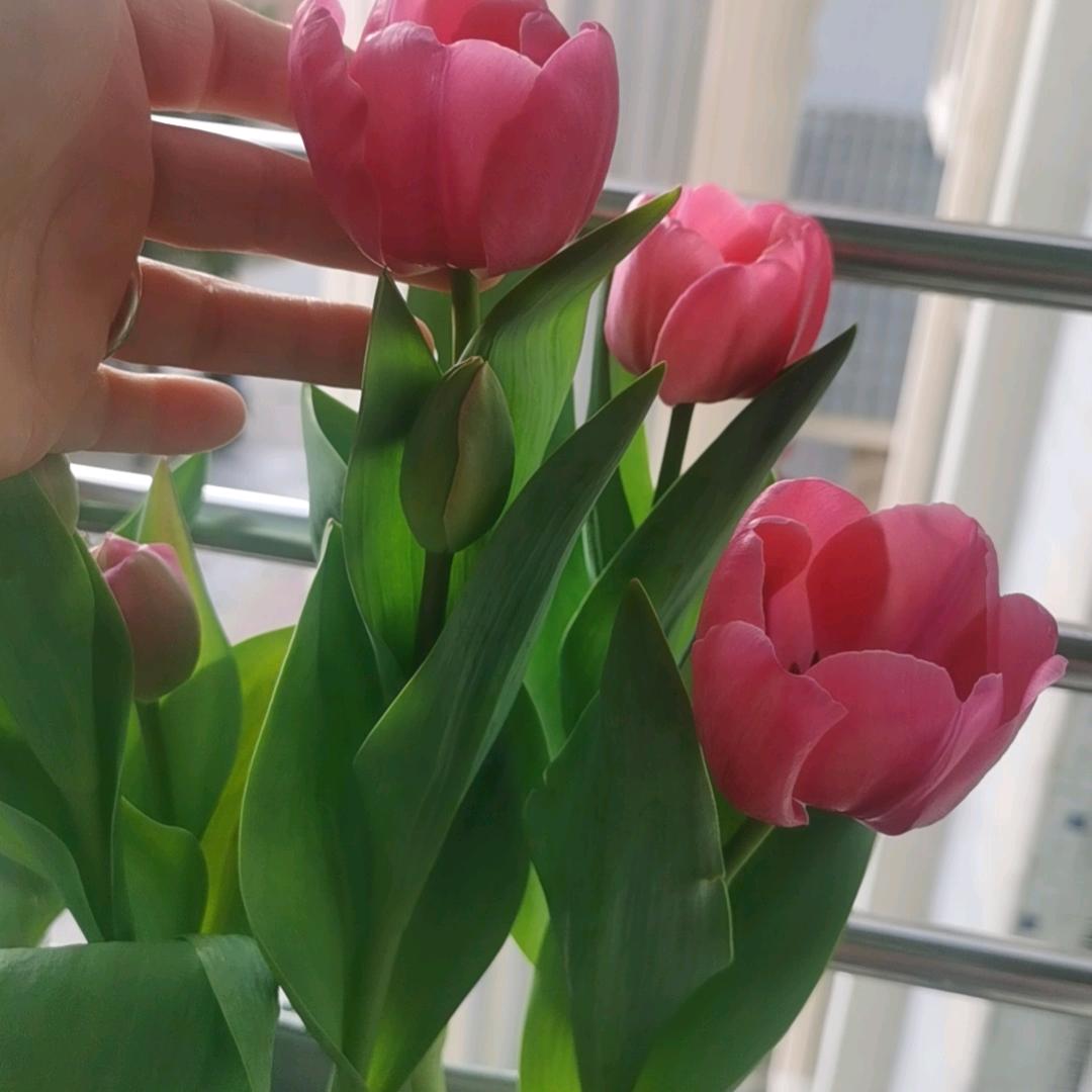 এ᭄心已冷₅₂₀ོꦿృ༊