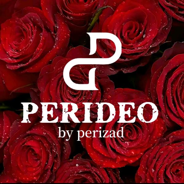 帕里迪奥🦋努尔比亚