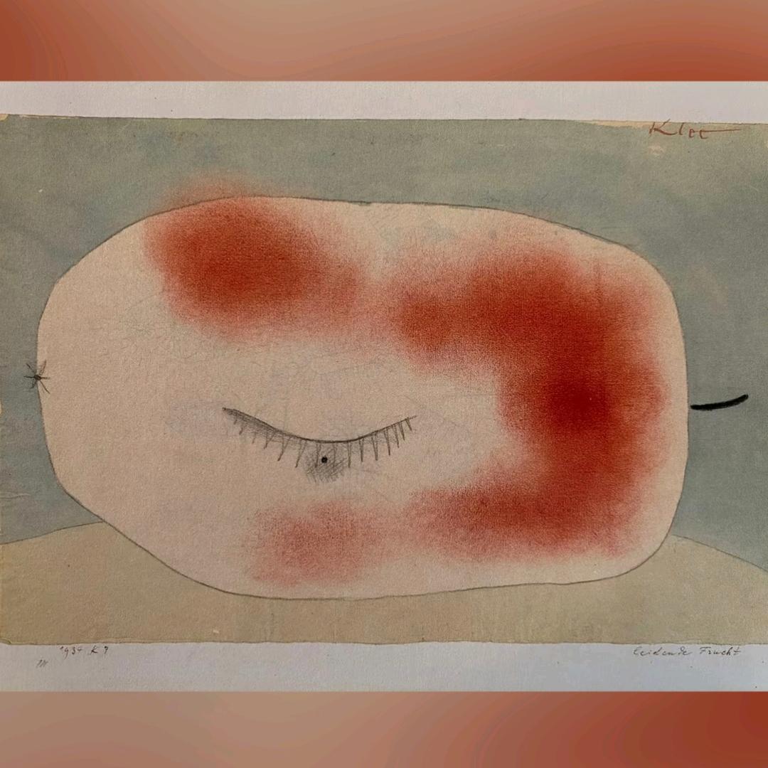 小灰考拉的躺椅