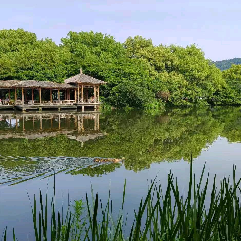 陈奶奶向阳记