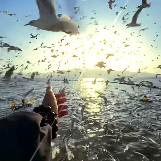 🌶️开启🌶️