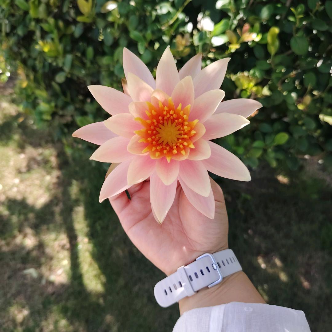 @𝐘·歡囍
