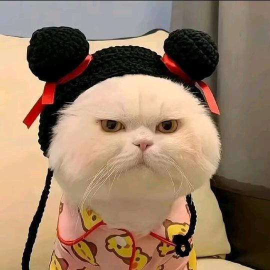 ღ᭄ 玛卡🐳巴卡ღ᭄