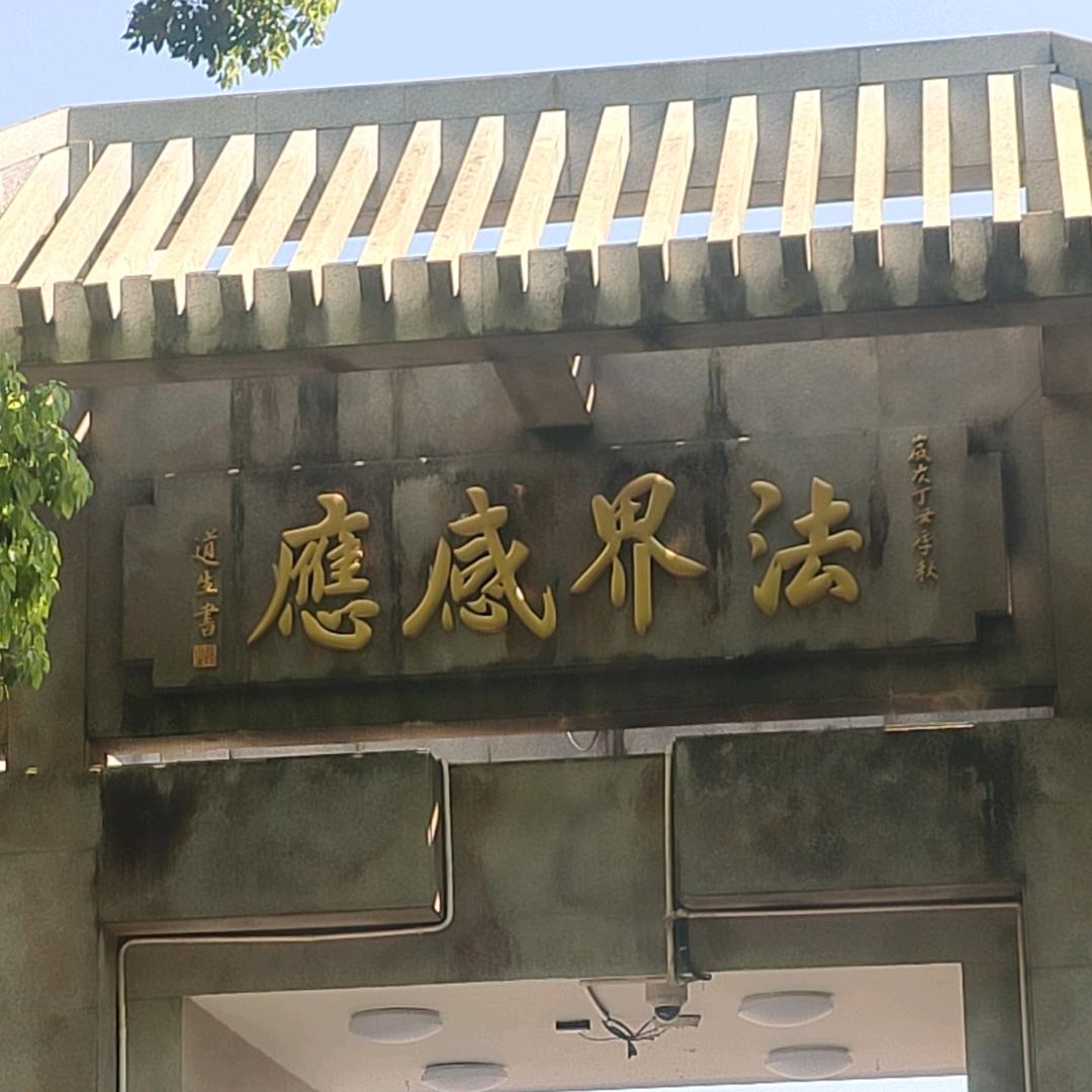 零鹫1991