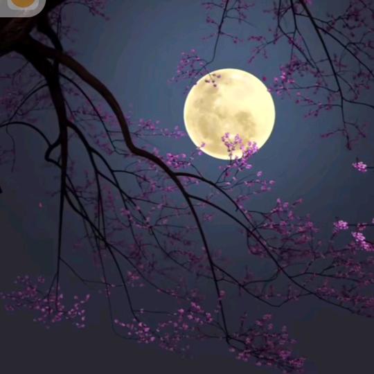 看淡一切。过好自己。