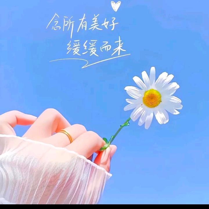 🤛自强不息🤜