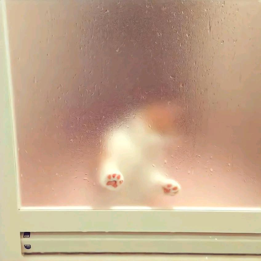 屿森优品