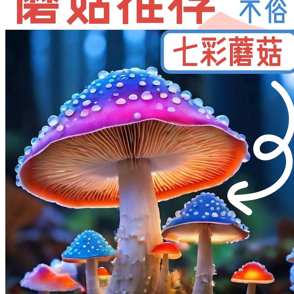 七彩蘑菇(黑果木)