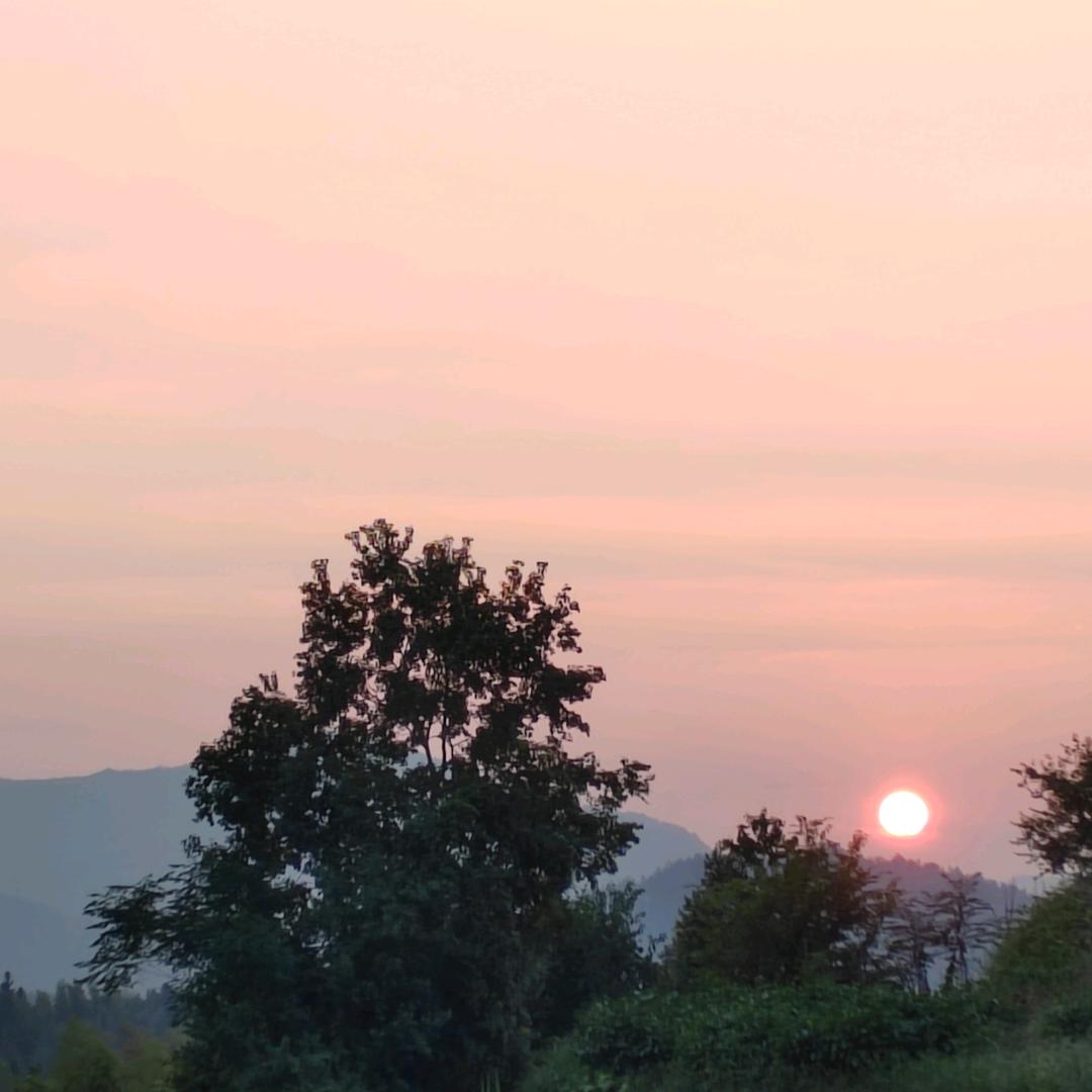 天熔奶奶💐💐🌷🌷