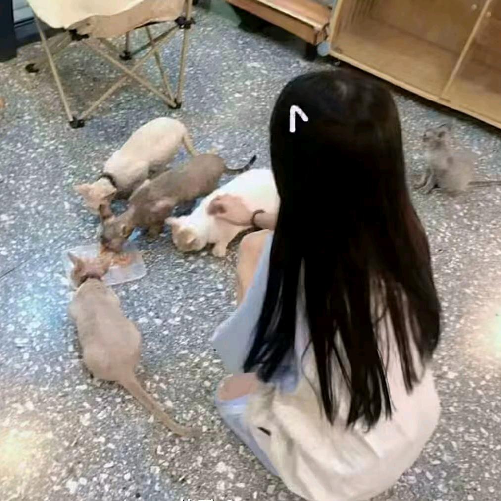 𝟬𝟴_小睡神𝙯ᙆ