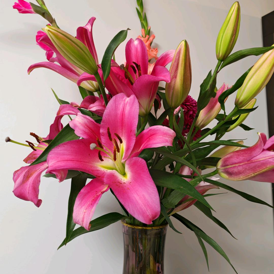 💐安安💐