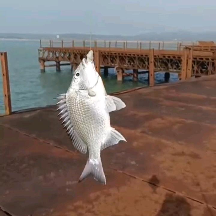 超票