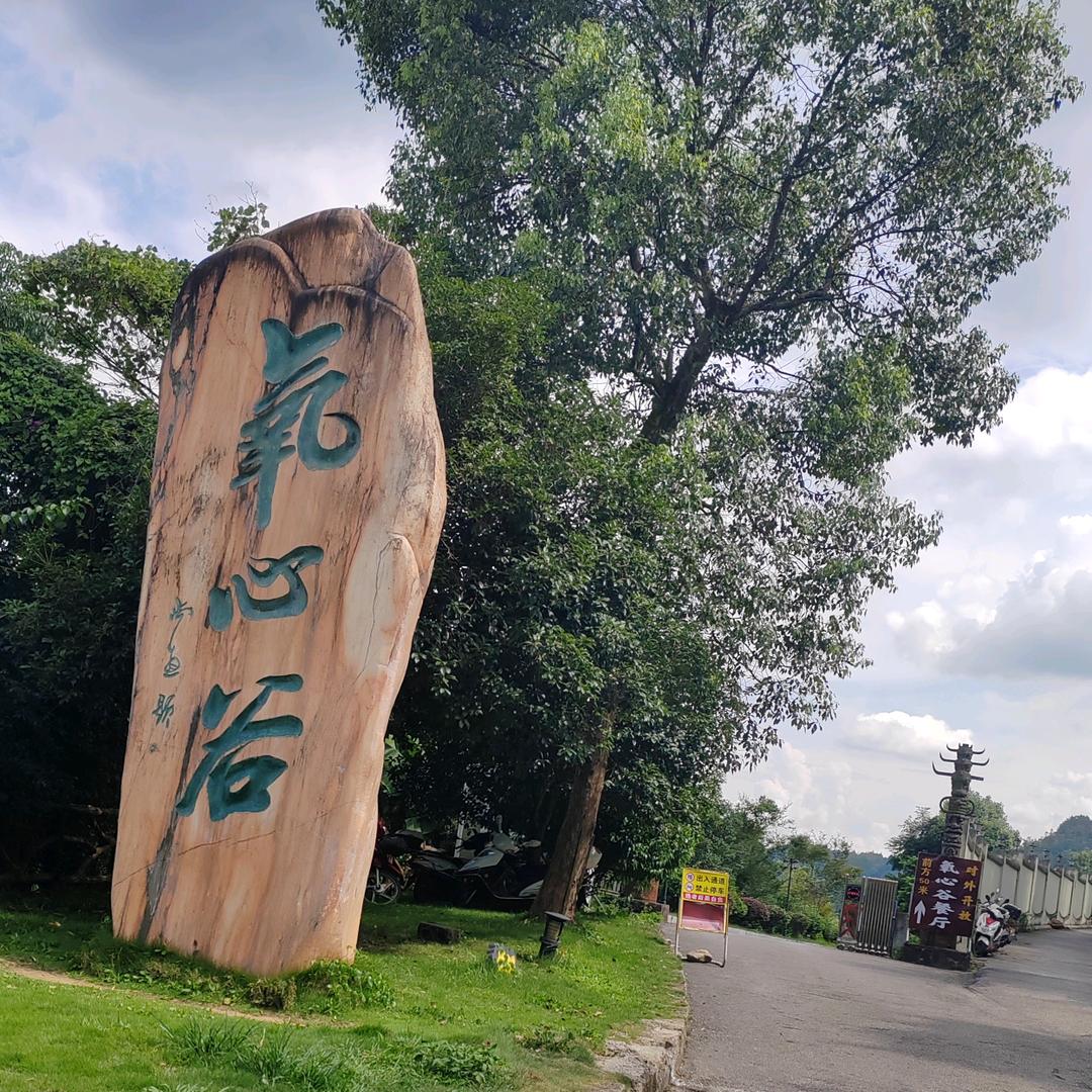 陈晨小苹果3