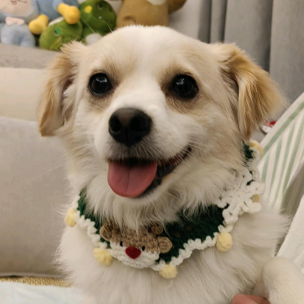 占小白四岁了