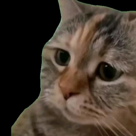 渣渣渣猪