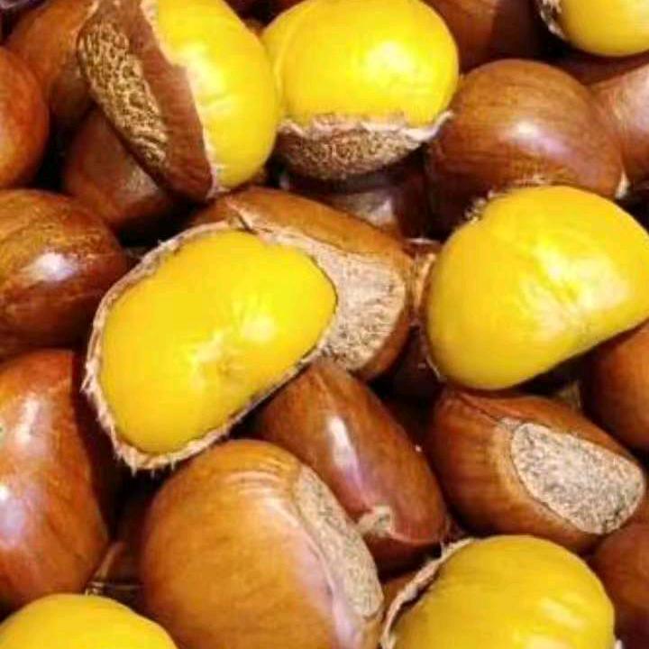 （原商业街糖炒栗子）平桥薯栗伴侣