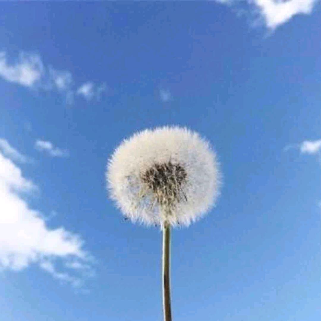 ✨ོꦿএ雷᭄