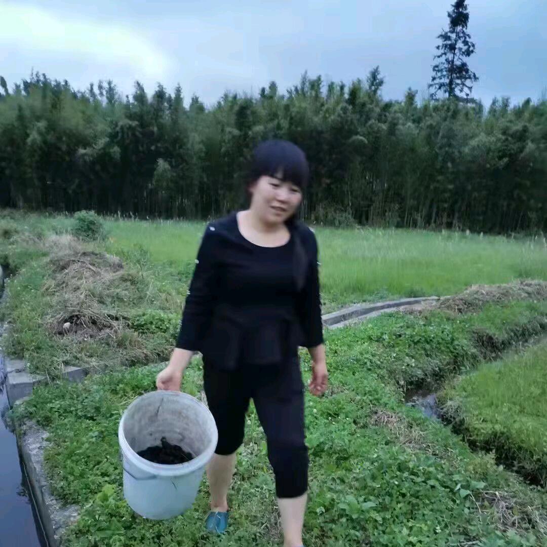 晴晴的乡村生活