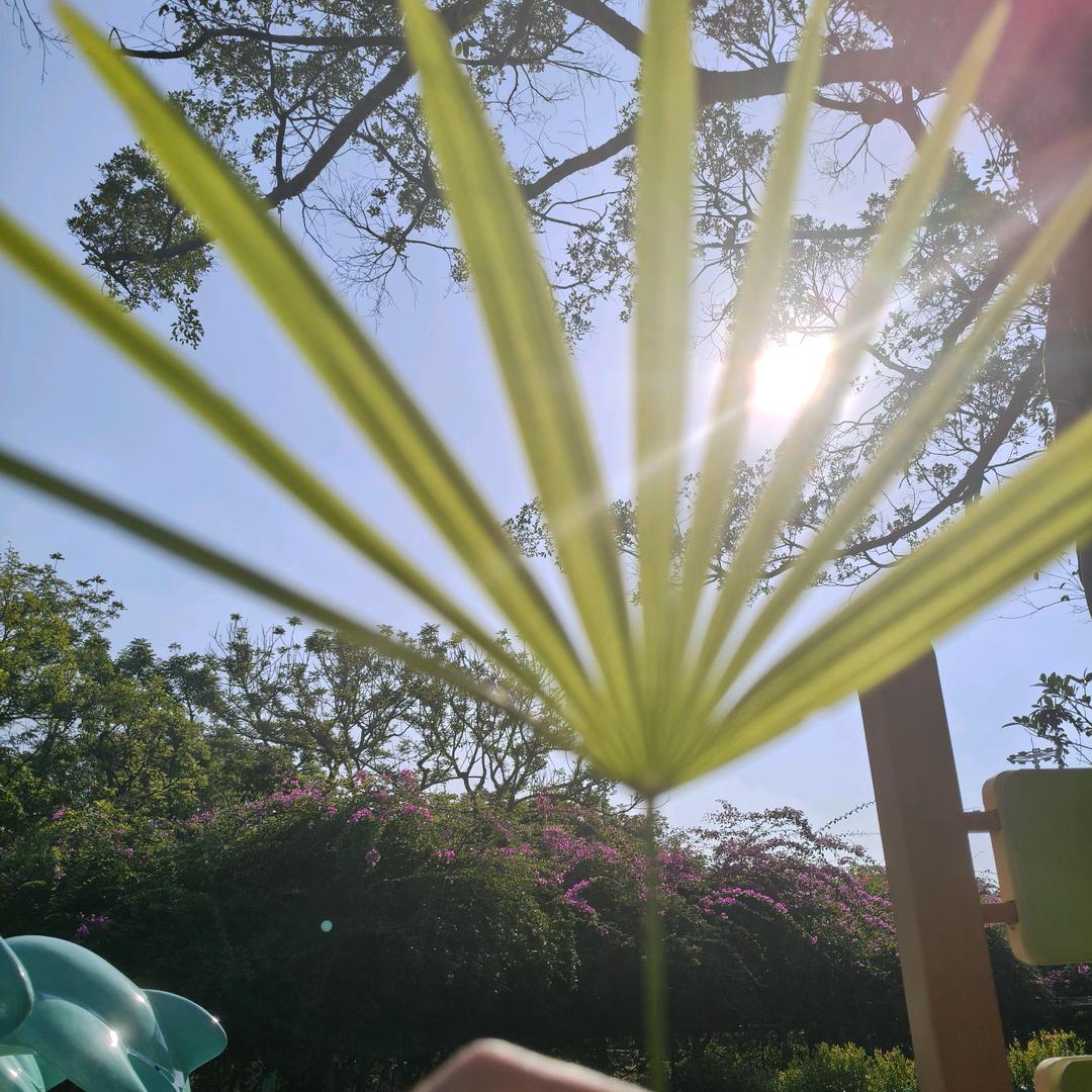 我命由我，不由天