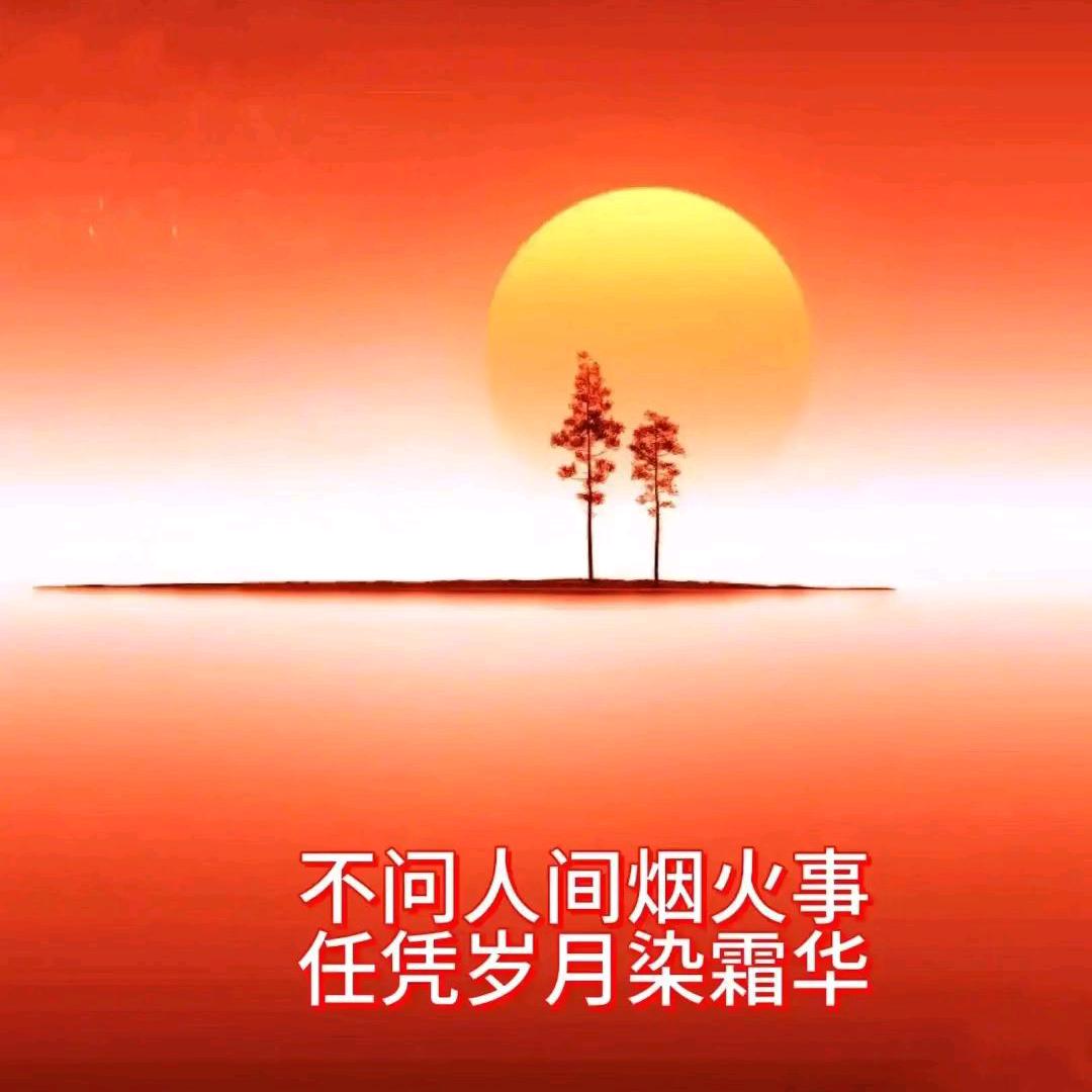 景儿🦋