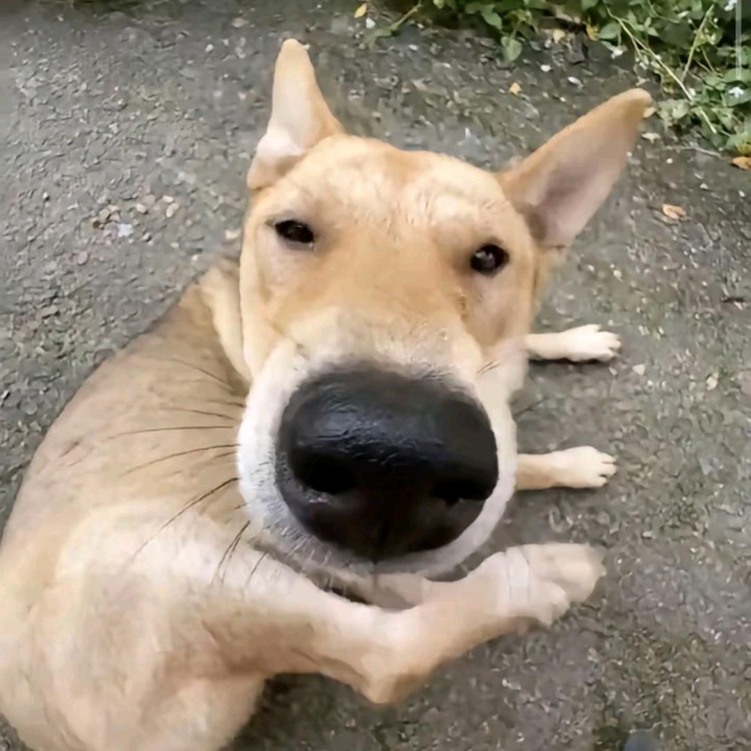源