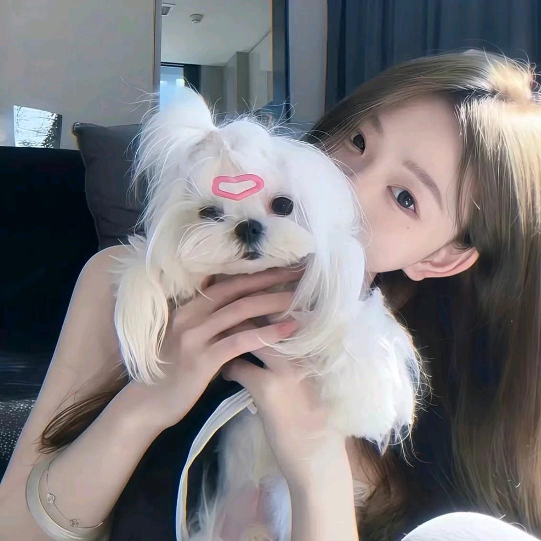 腿毛🐾（摇摆驴🍩）