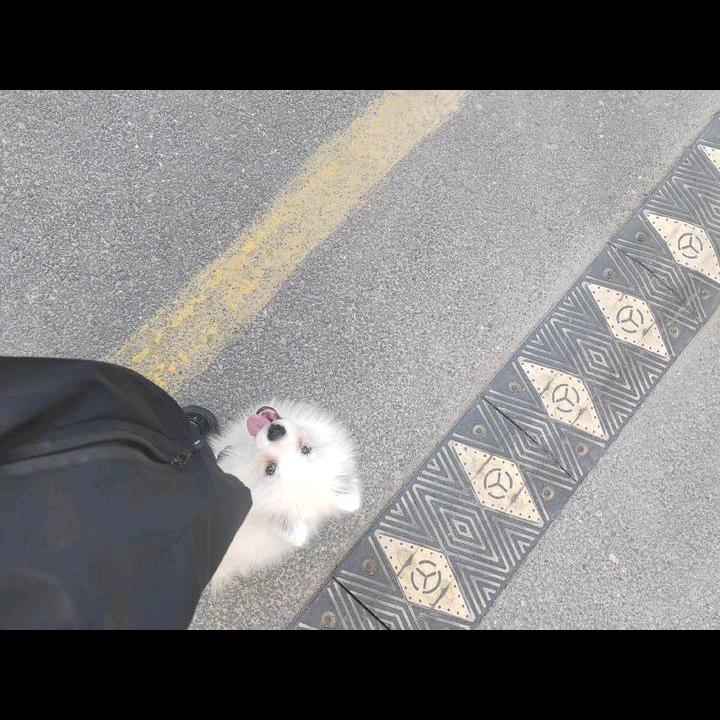 ·手机维修(皋兰店)