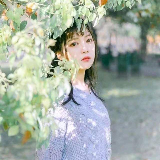 🌸🌸🌸🌸🌸🌸