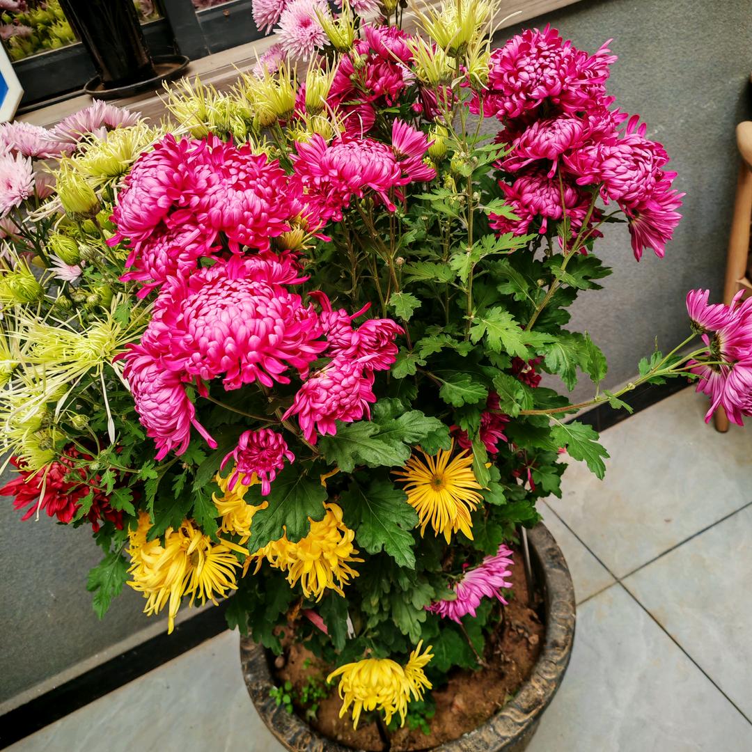 春暖花开。