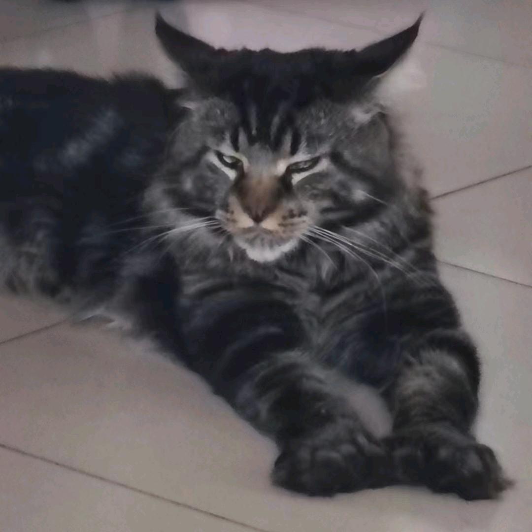 陸6666666