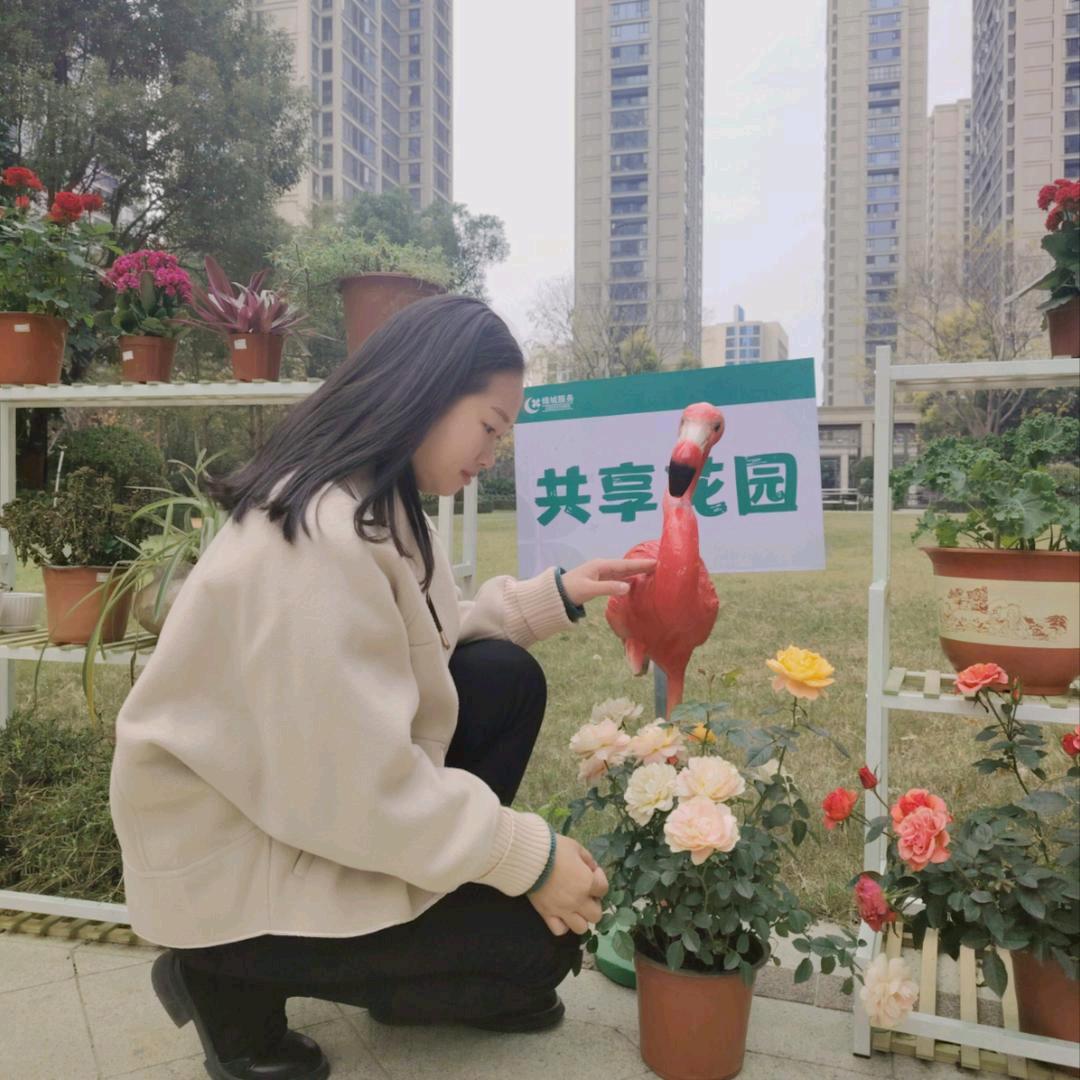 书香里  文艳