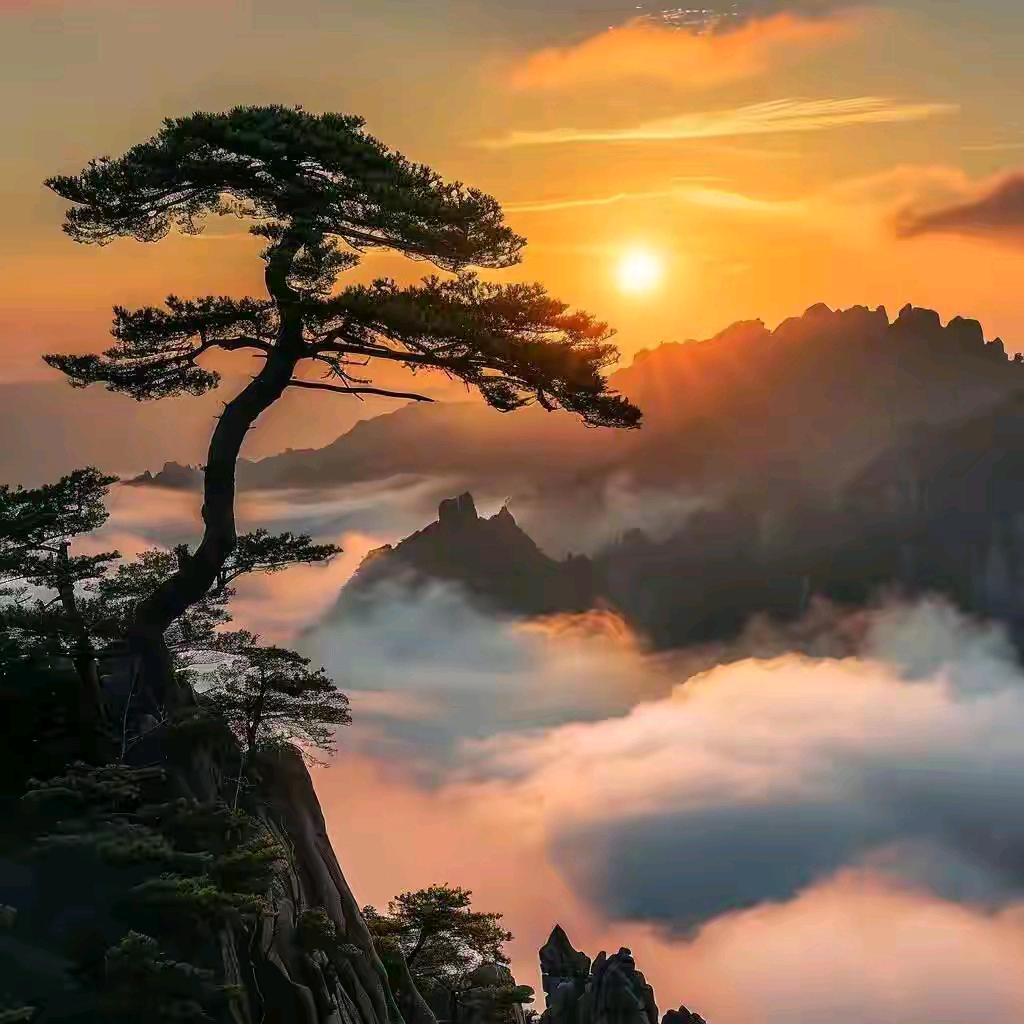 方强律师