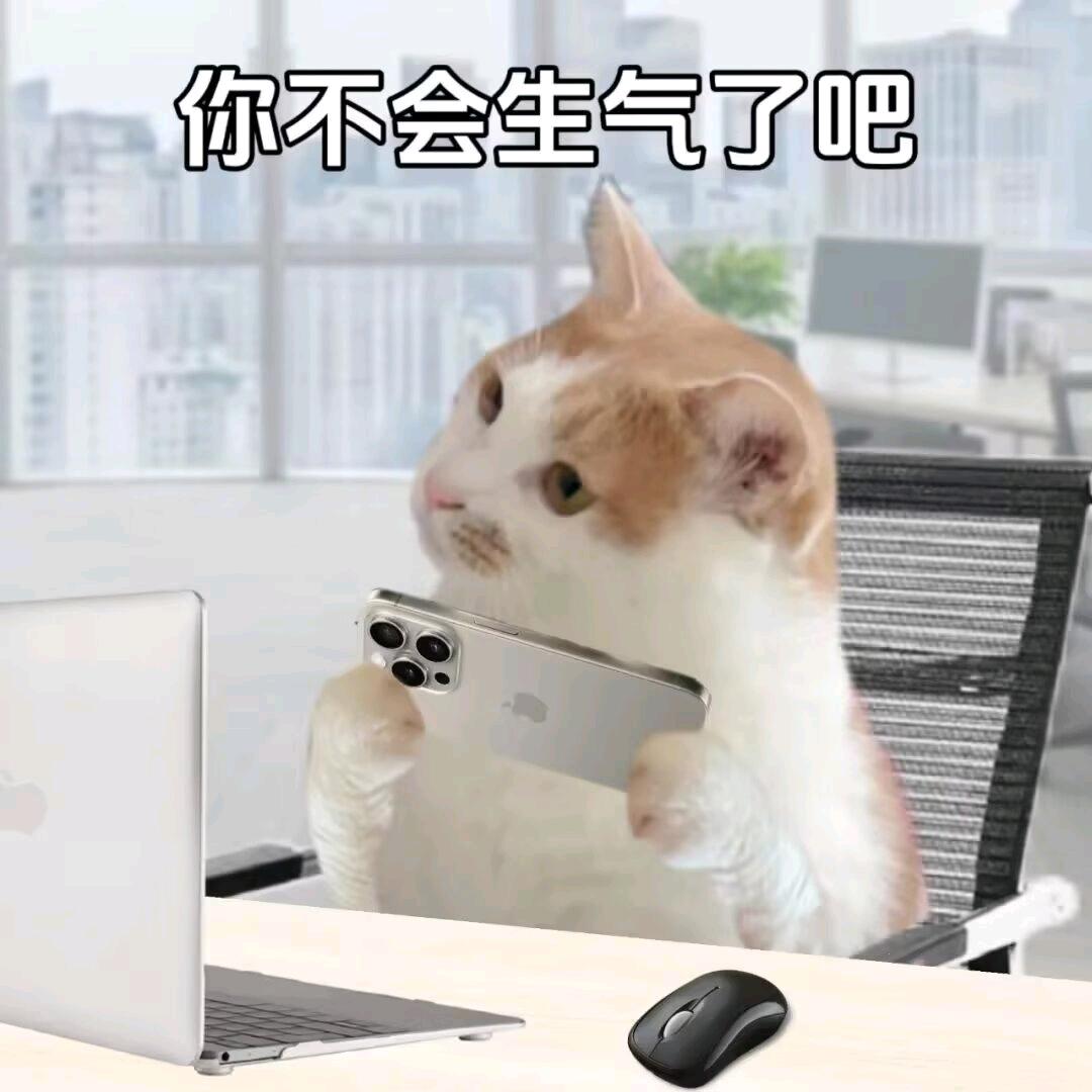 双倍冰激凌去冰