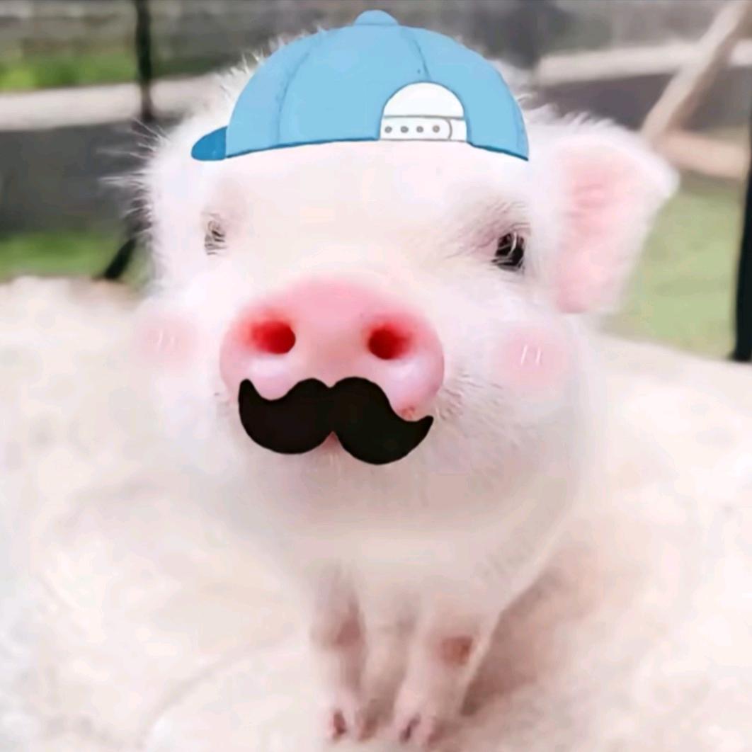 纽约