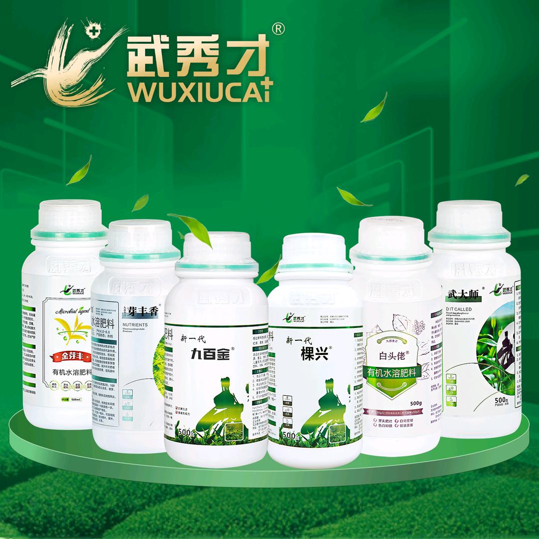 西峡县棵兴茶叶种植研究中心