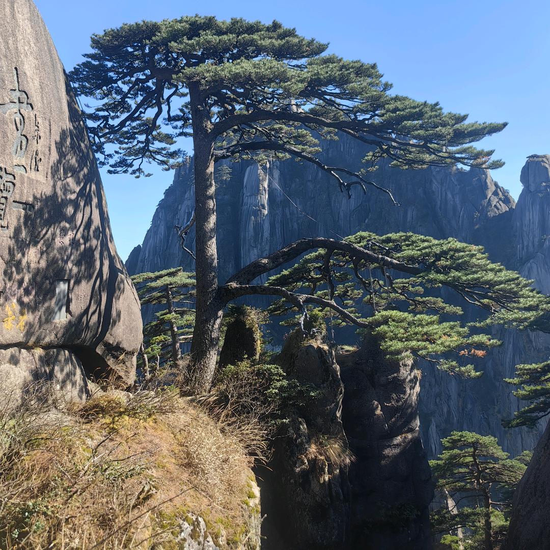 余学辉