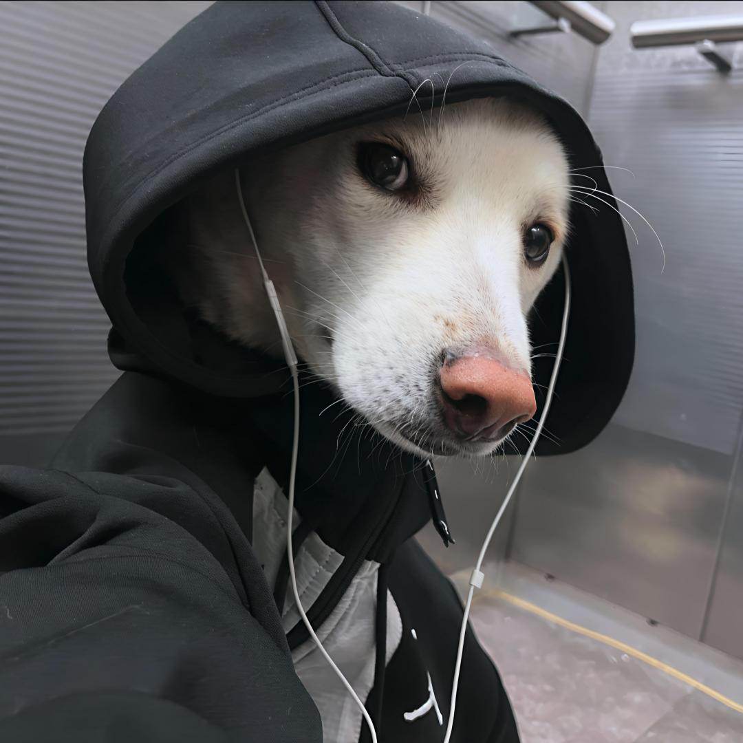 主板上的老冰棍