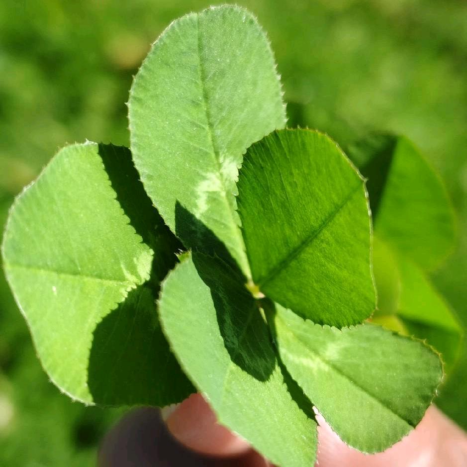 愿你平安喜乐！