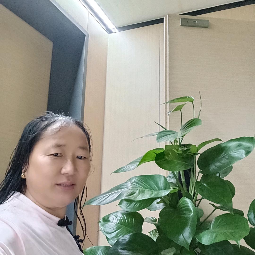 七星高照