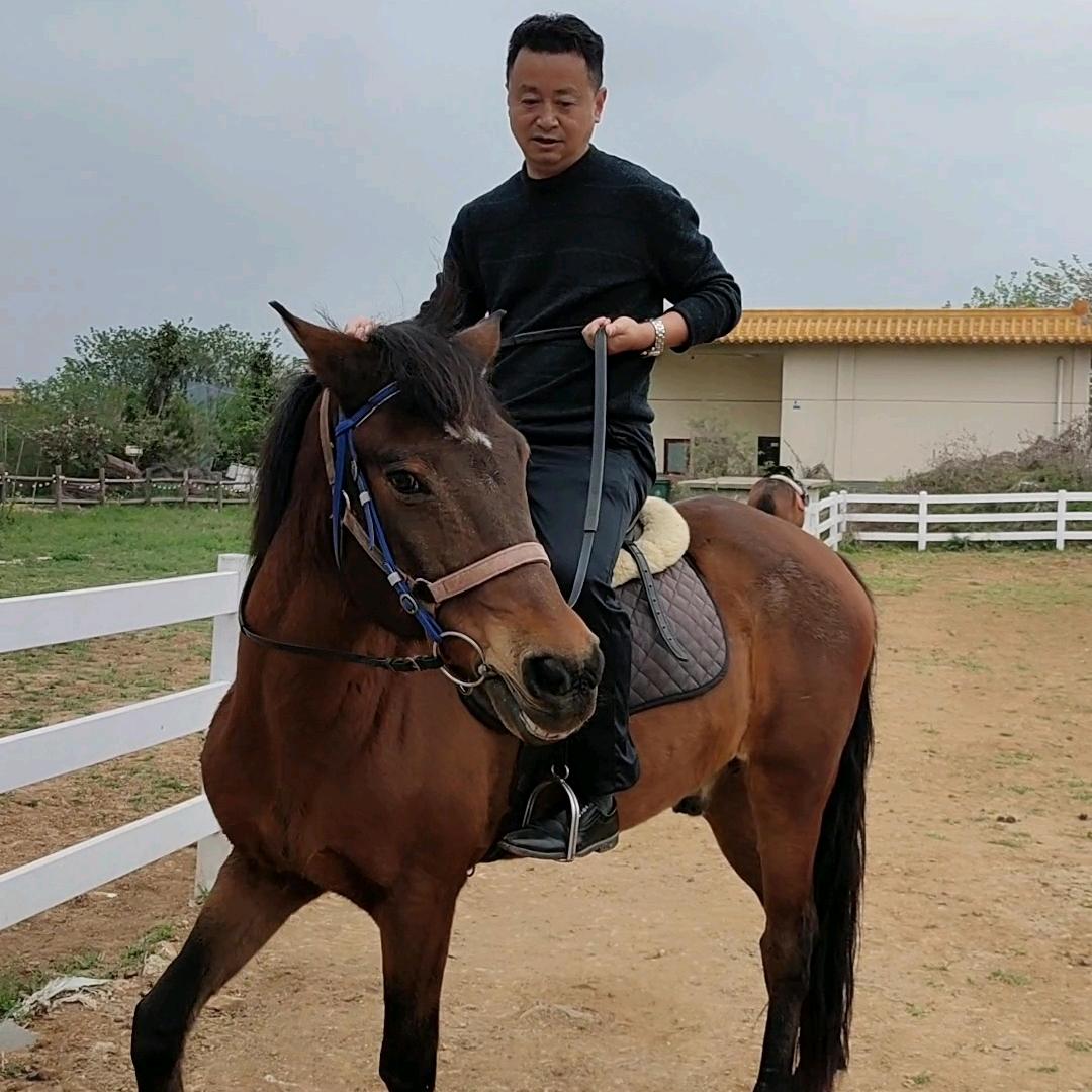 平地飞行