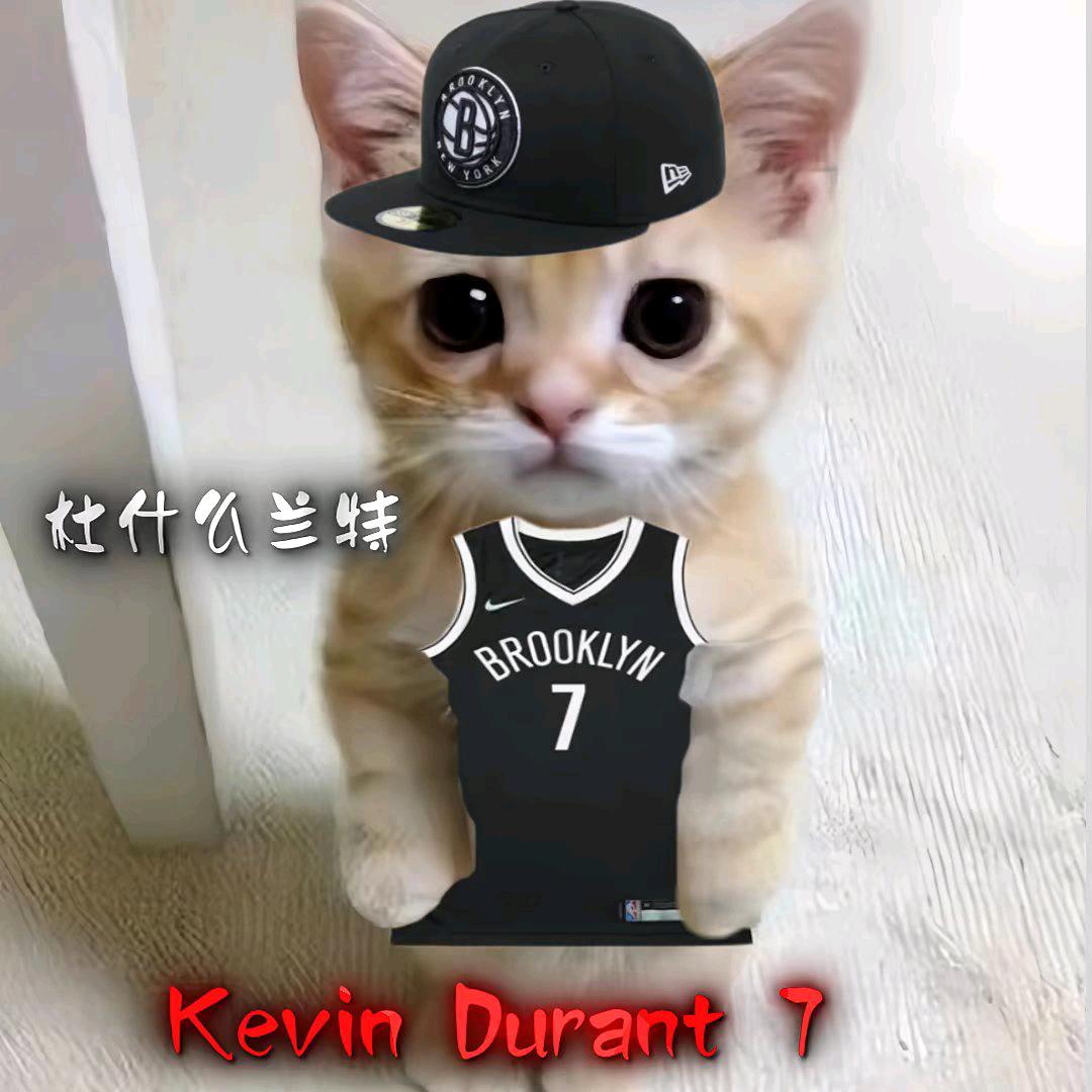 kd07.